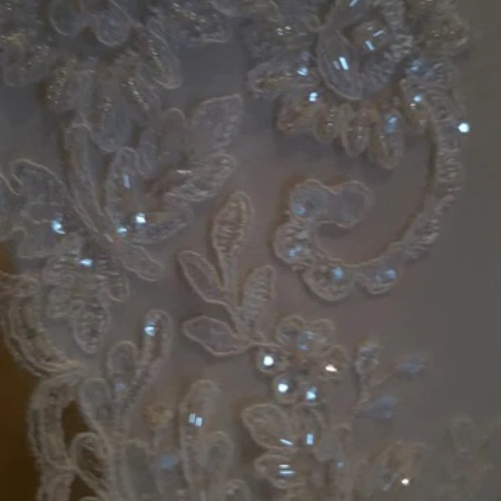 Wedding Dress - Picture 5 of 5